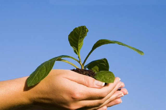 Environmental Awareness Programme